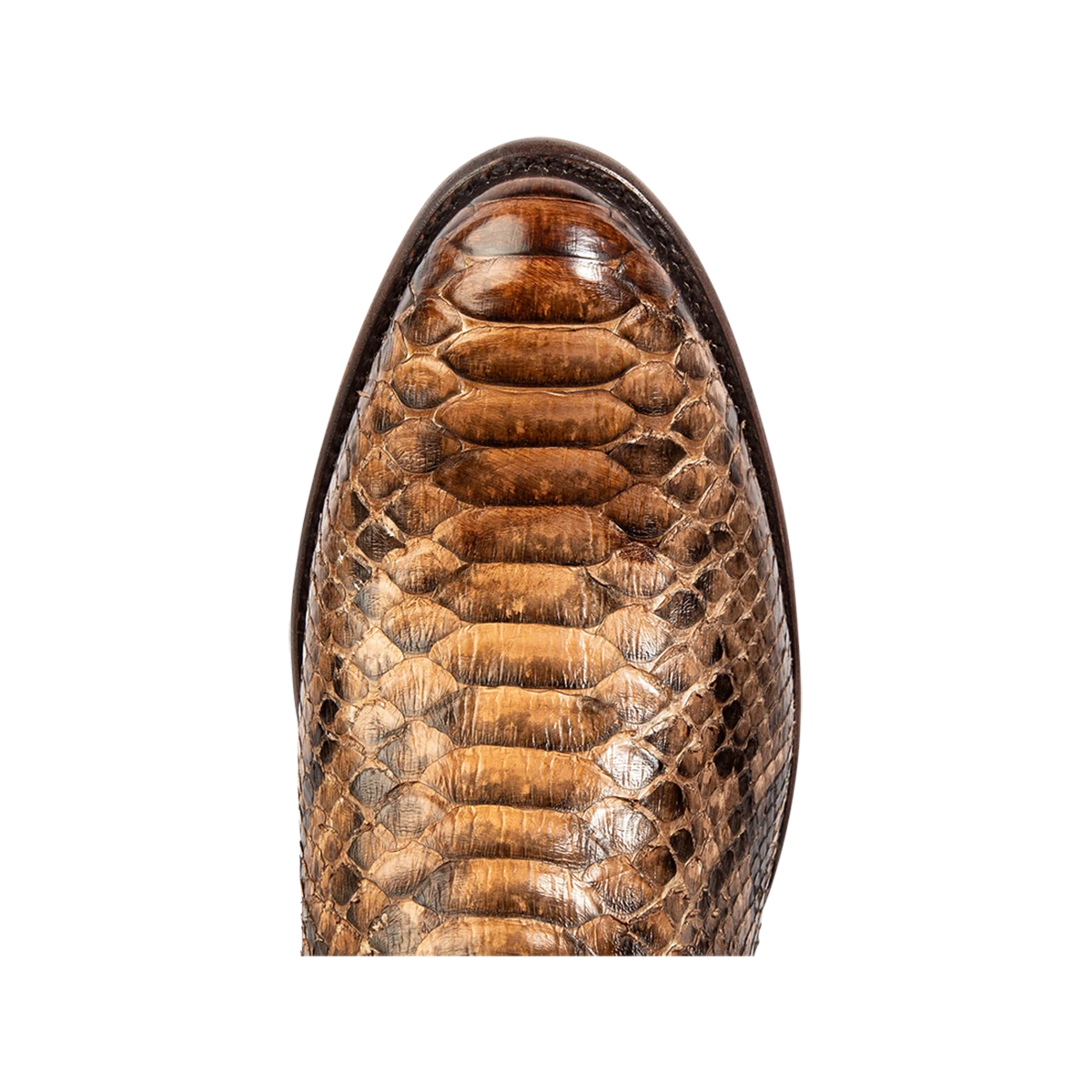 Alamo - Beige Python - Image 6