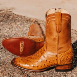 Alamo - Canary Ostrich