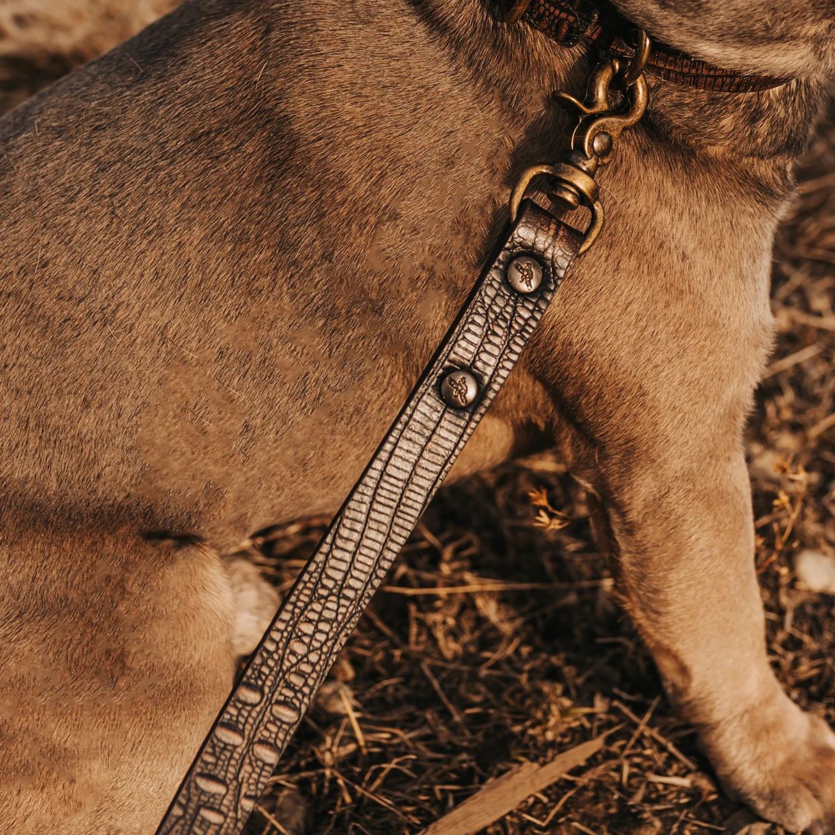 Dog Leash - Brown Distressed - Image 2