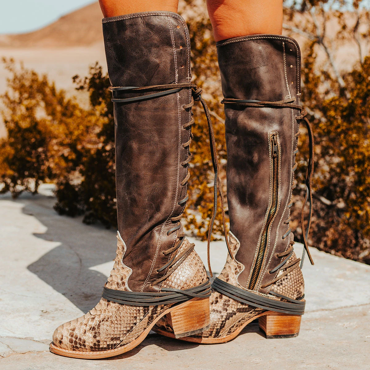 Coal - Black/Beige Python