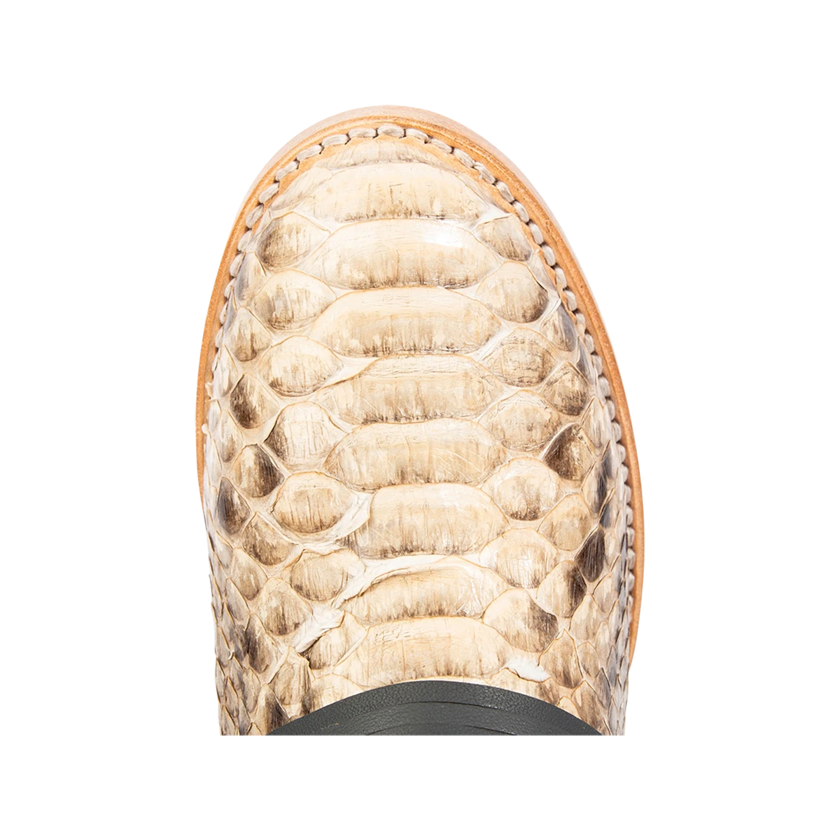 Coal - Black/Beige Python - Image 8