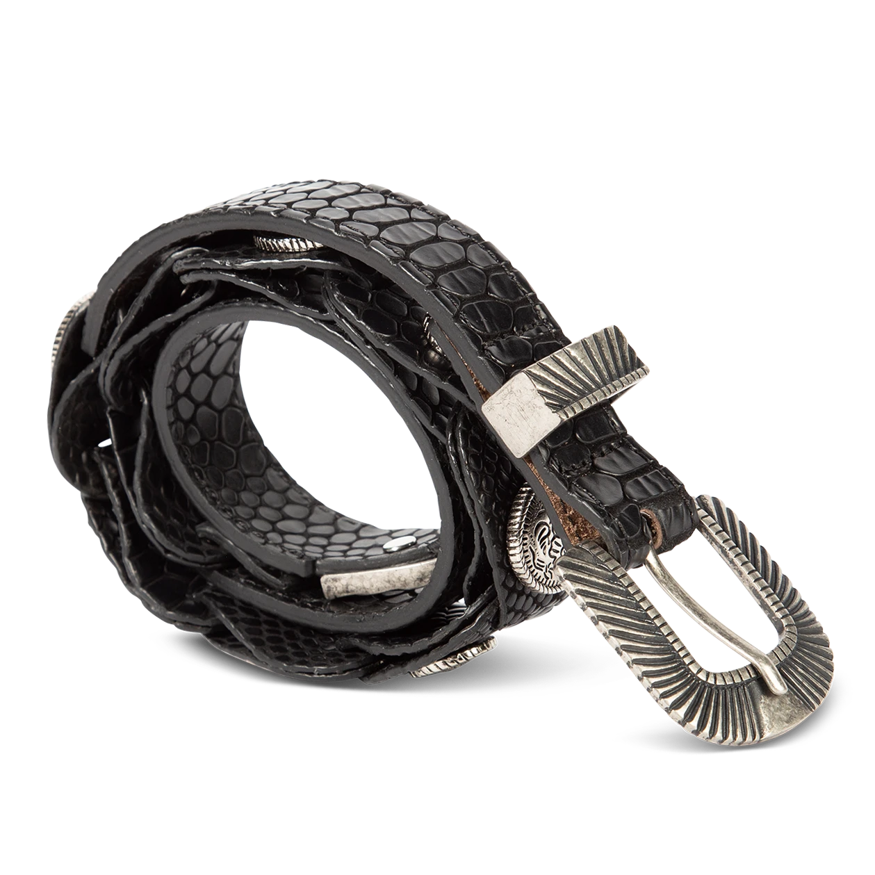 Coin Belt - Black Snake - Image 5