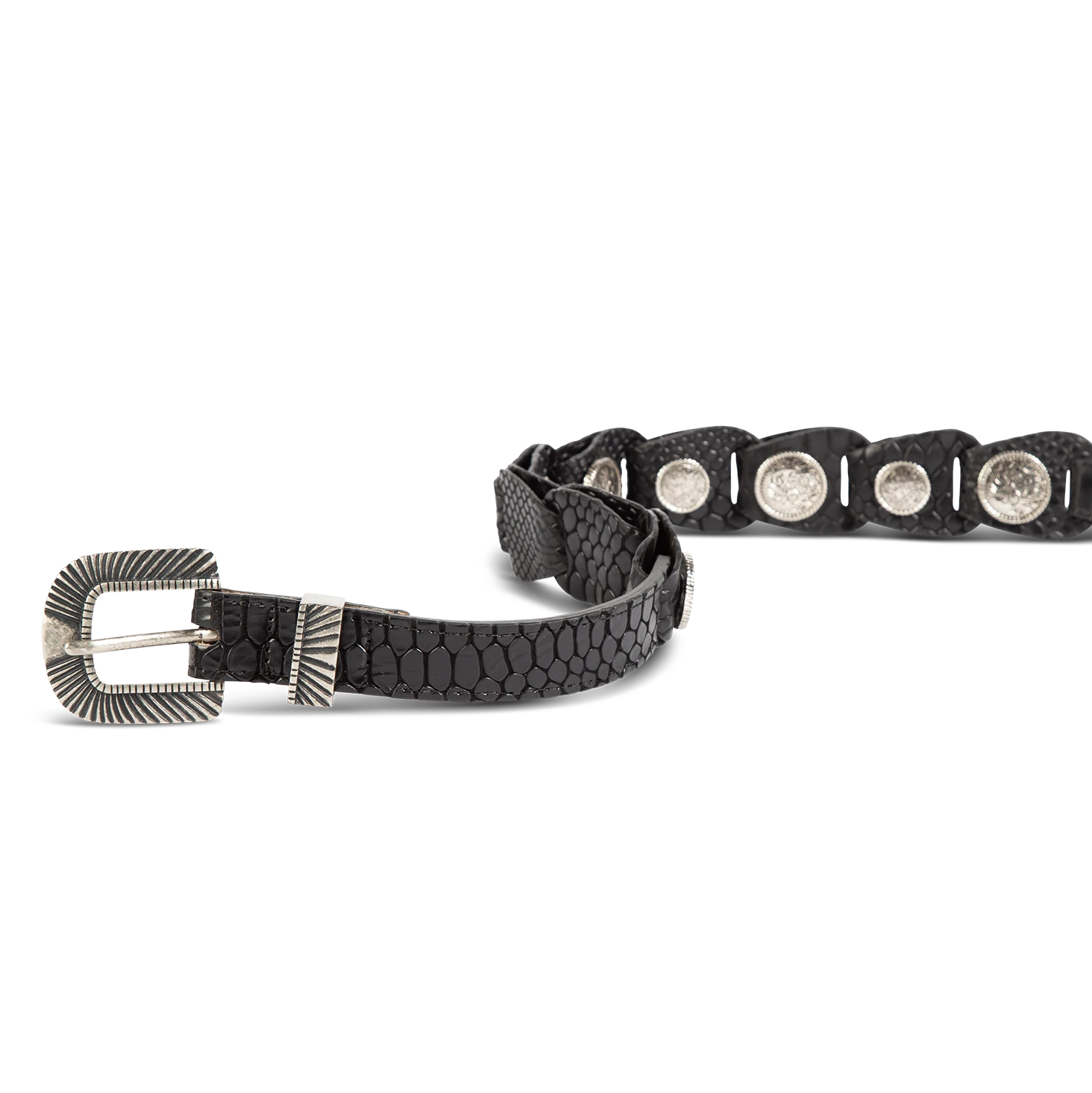 Coin Belt - Black Snake - Image 6