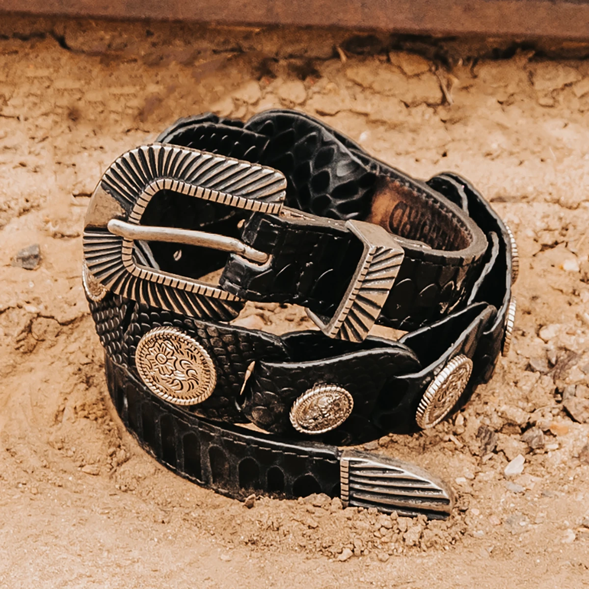 Coin Belt - Black Snake