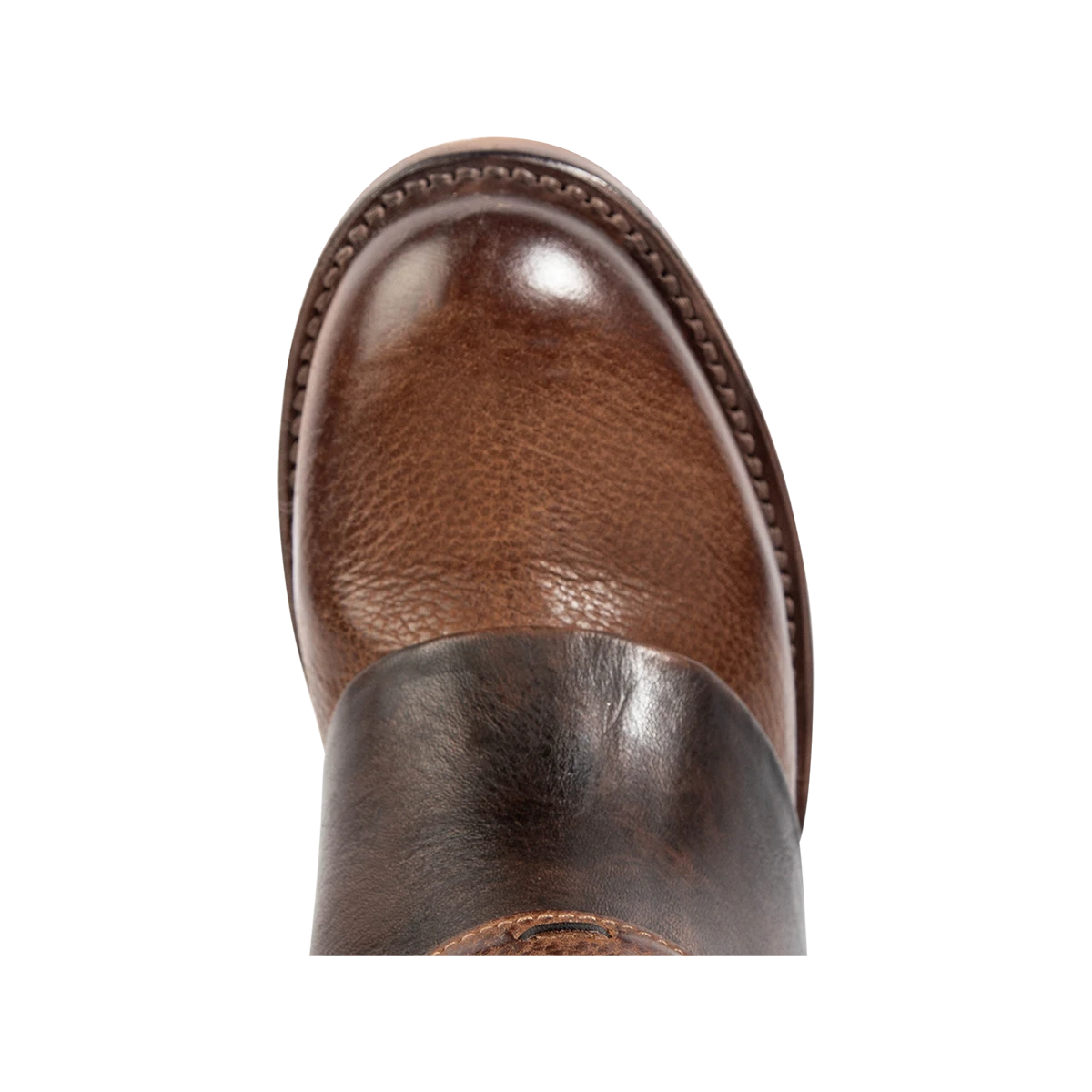 Crow - Cognac Multi - Image 7