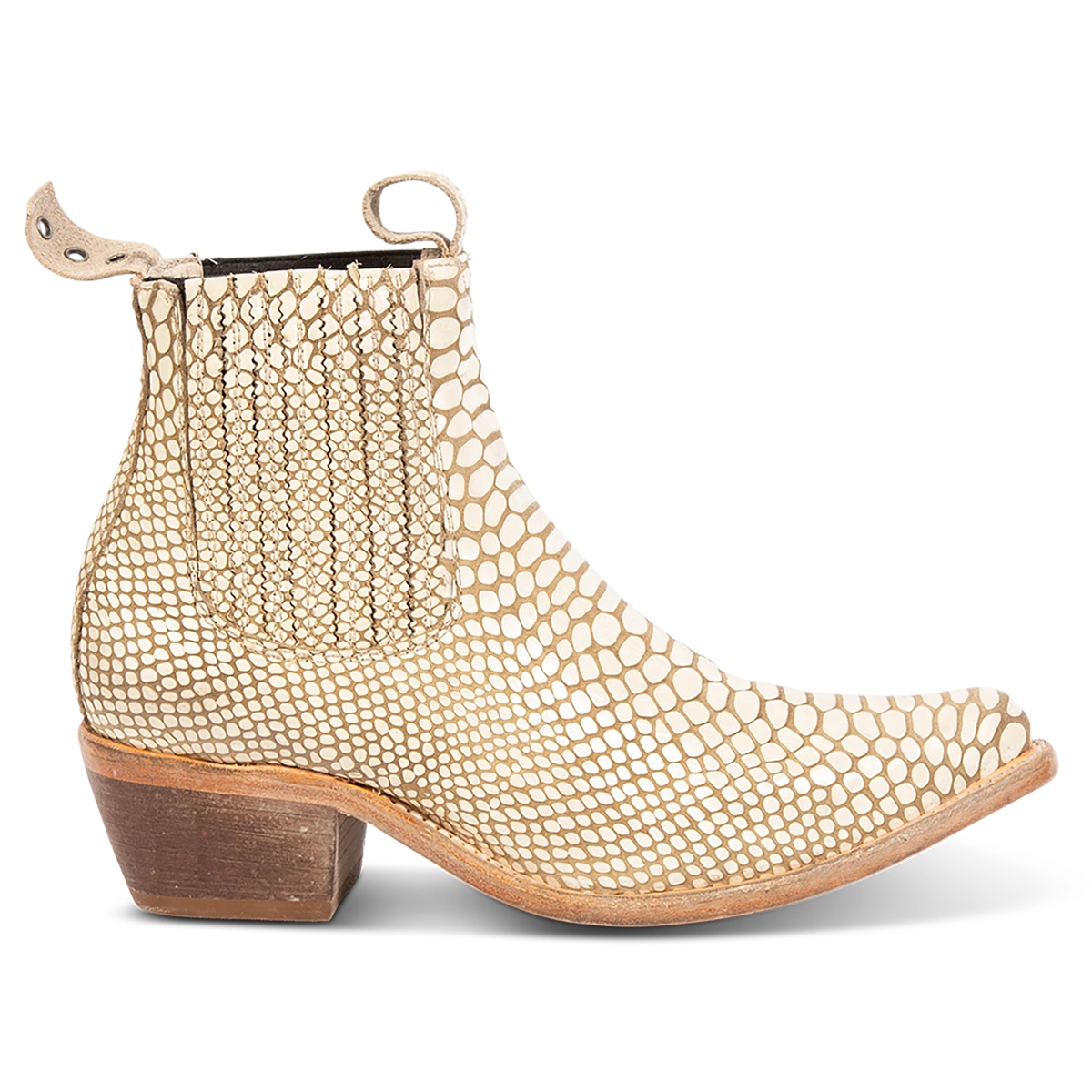 Maeve - White Snake - Image 3