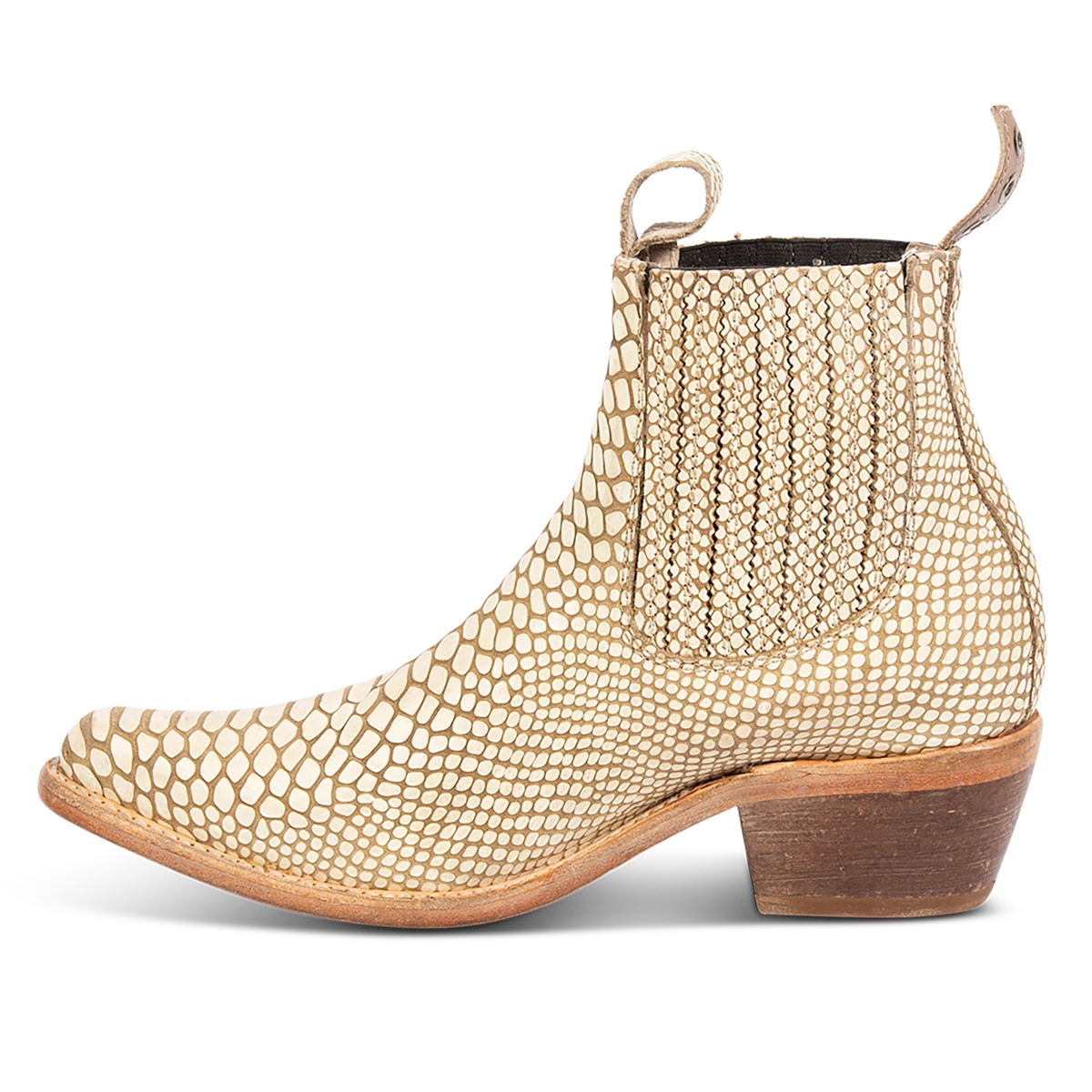 Maeve - White Snake - Image 5