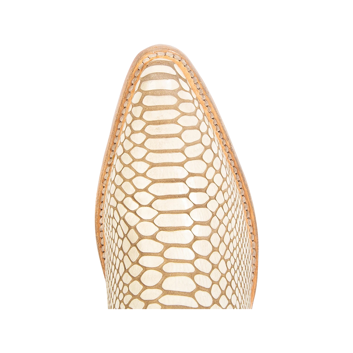 Maeve - White Snake - Image 8