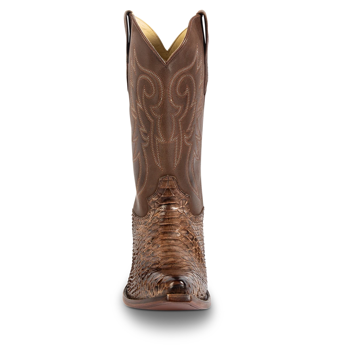 Marshall - Brown Python - Image 4