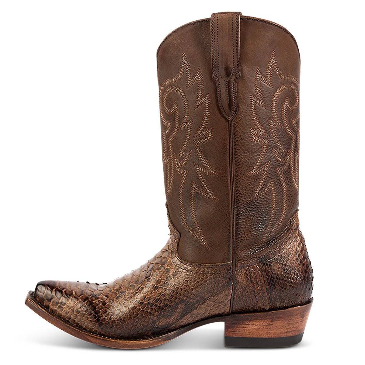 Marshall - Brown Python - Image 5