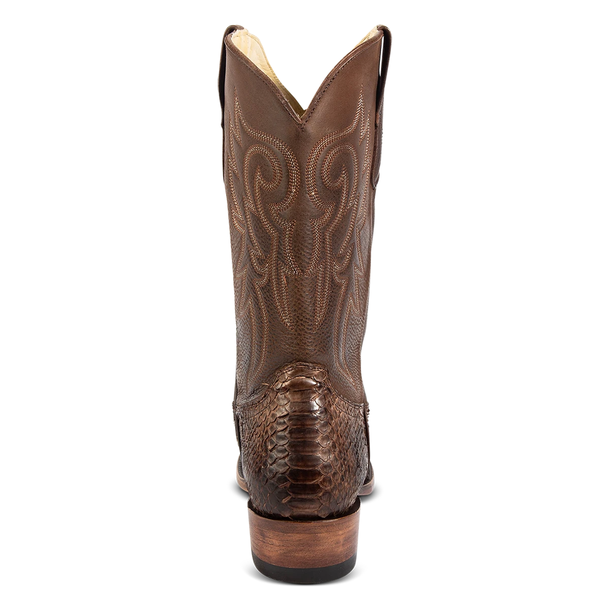 Marshall - Brown Python - Image 6