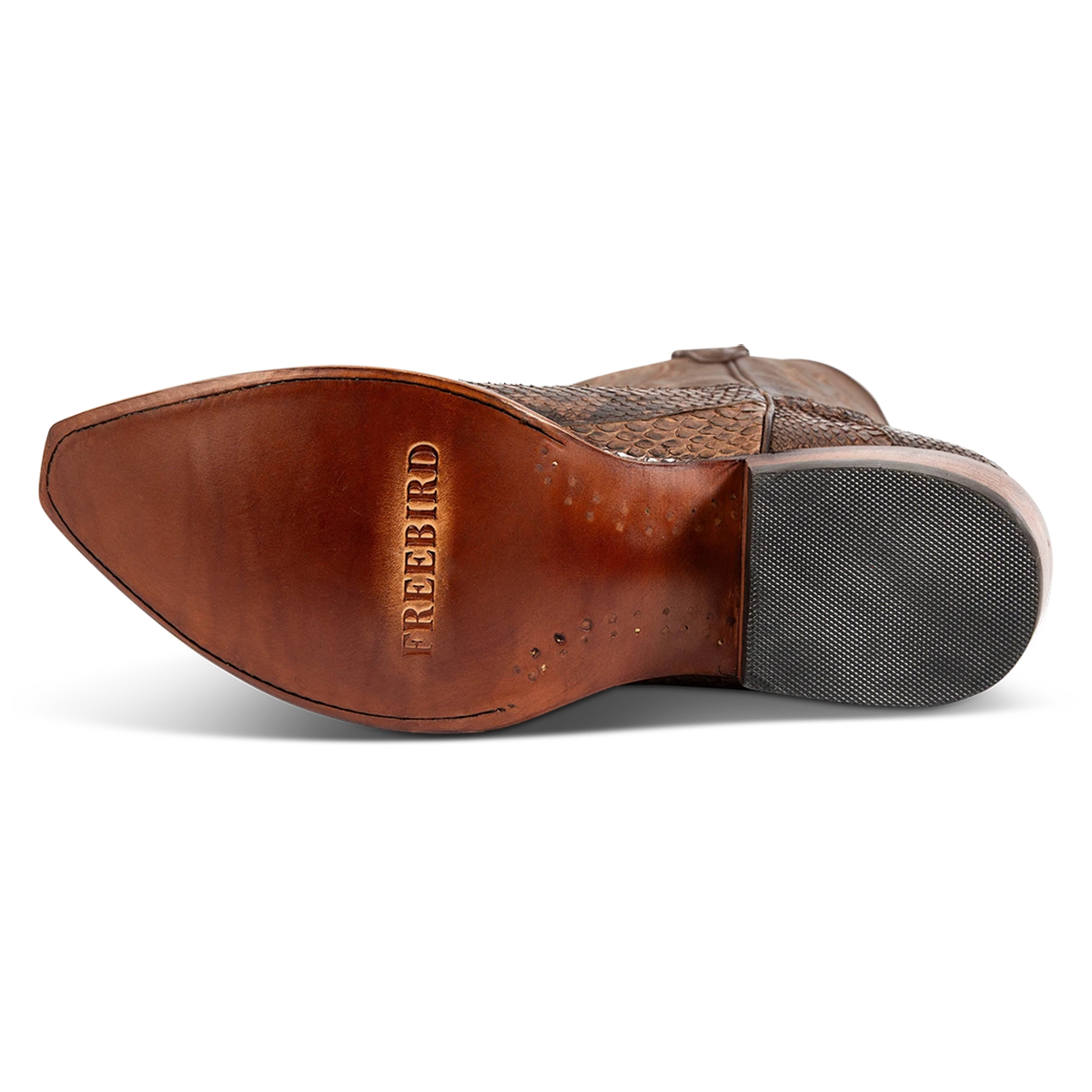 Marshall - Brown Python - Image 8