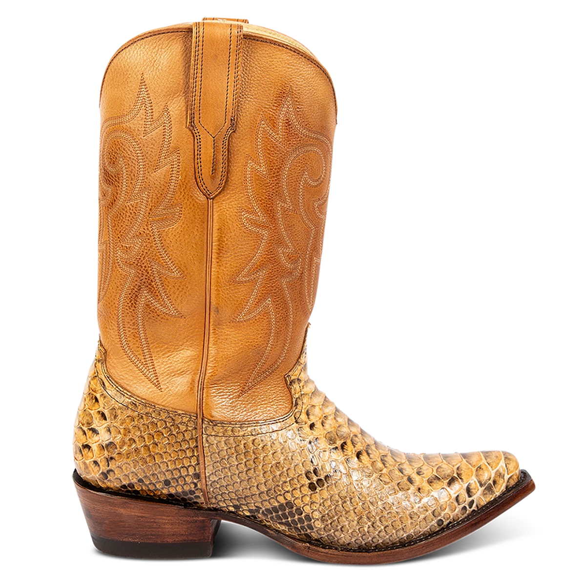 Marshall - Canary Python - Image 3