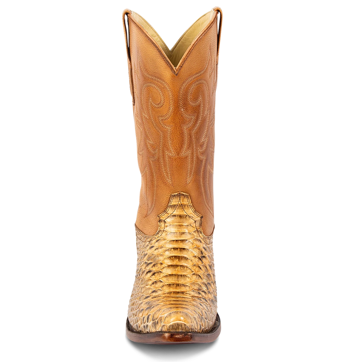 Marshall - Canary Python - Image 4