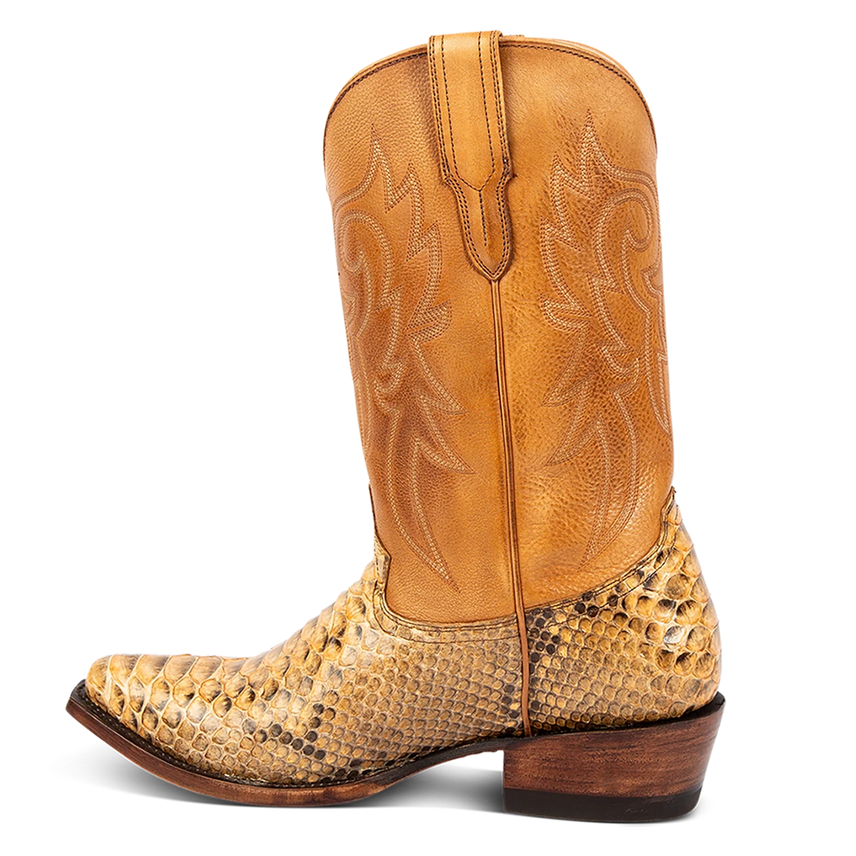 Marshall - Canary Python - Image 5