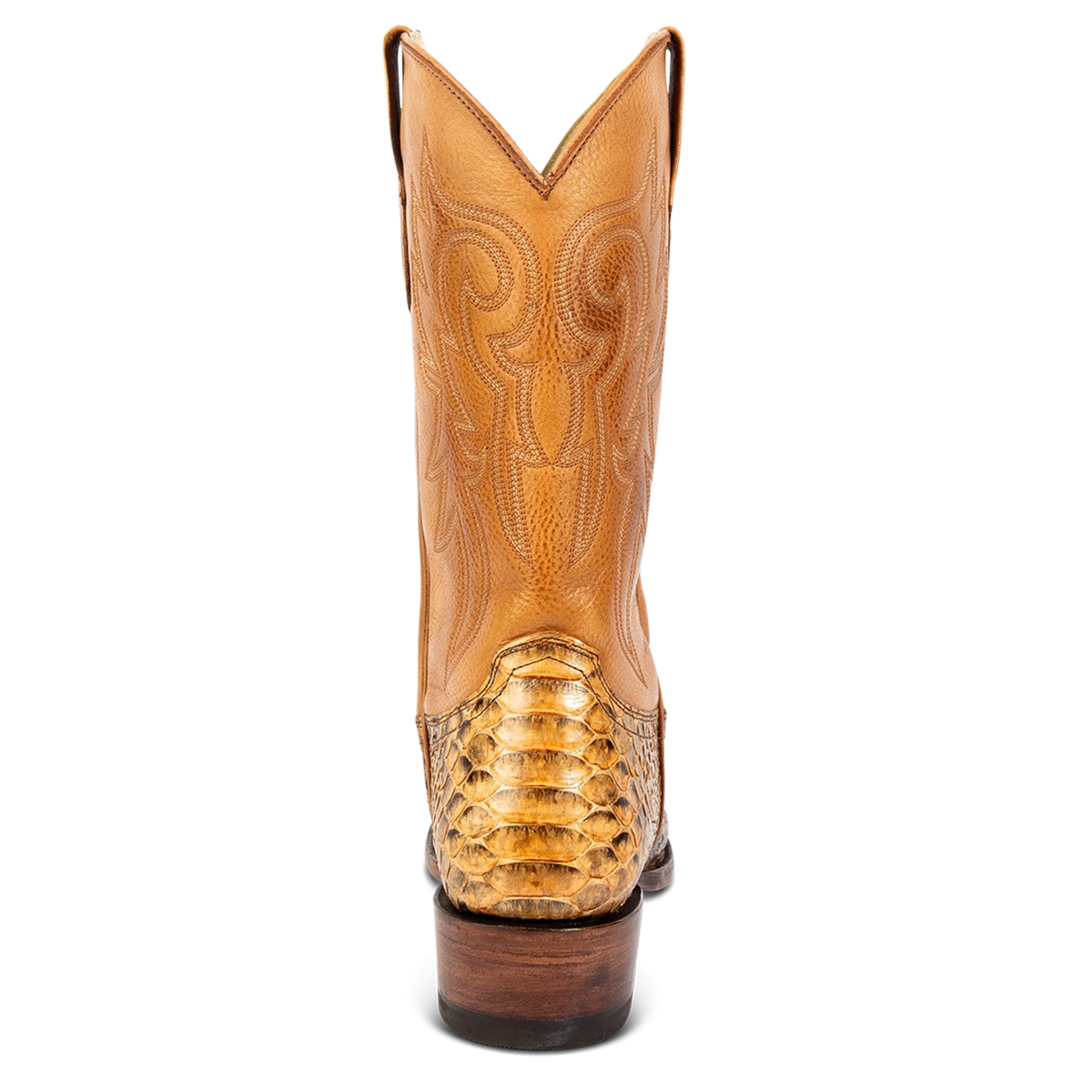 Marshall - Canary Python - Image 6