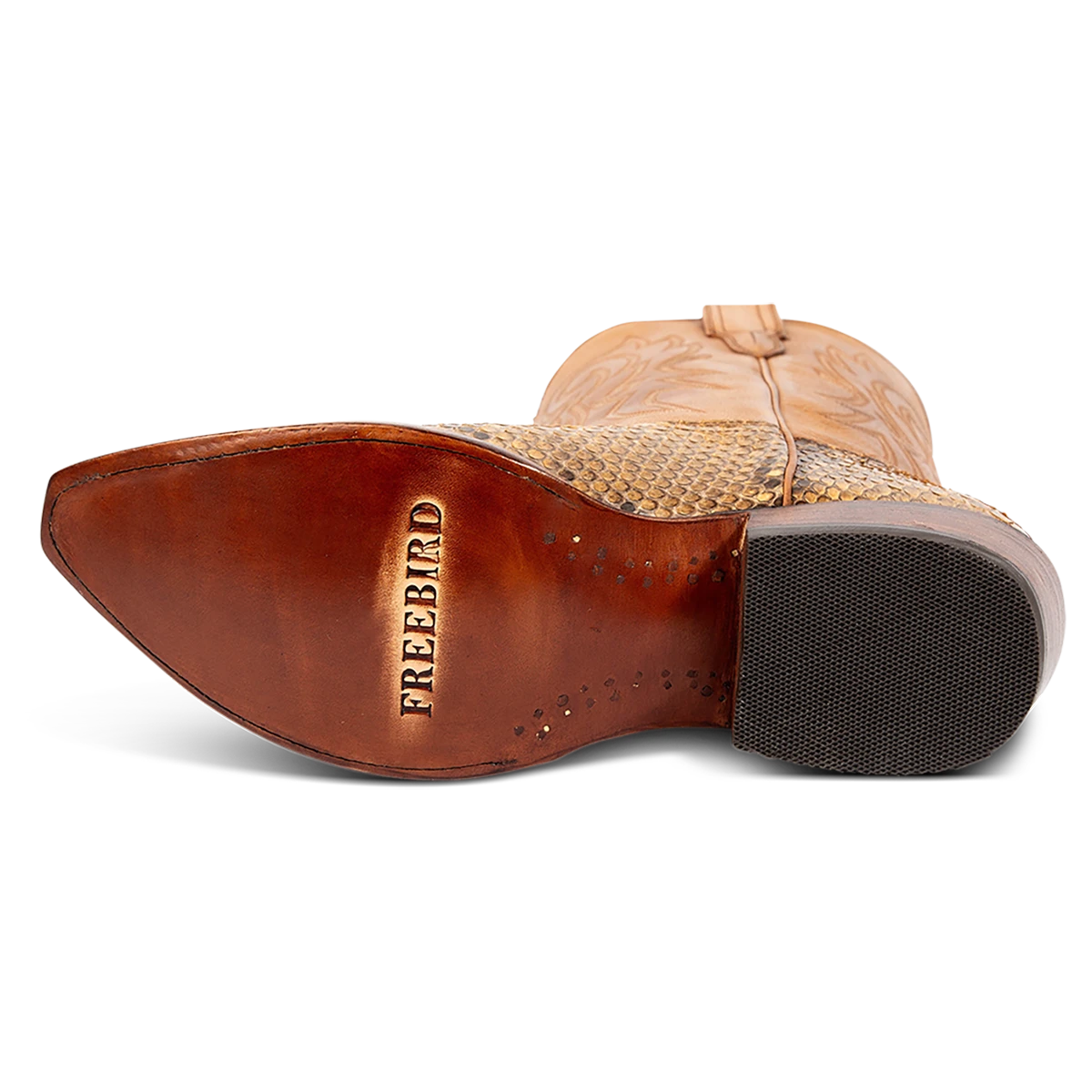 Marshall - Canary Python - Image 8