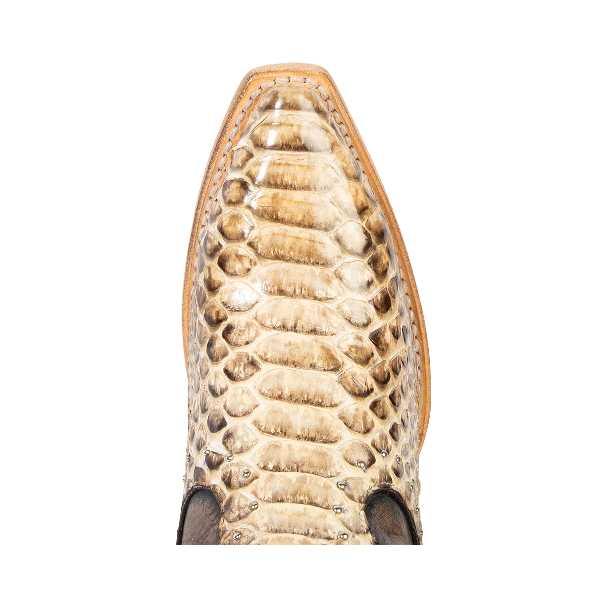 Morgan - Black/White Python - Image 8