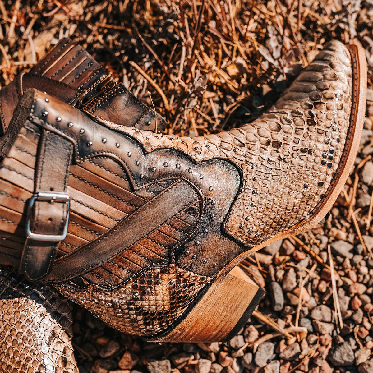 Morgan - Black/White Python - Image 7