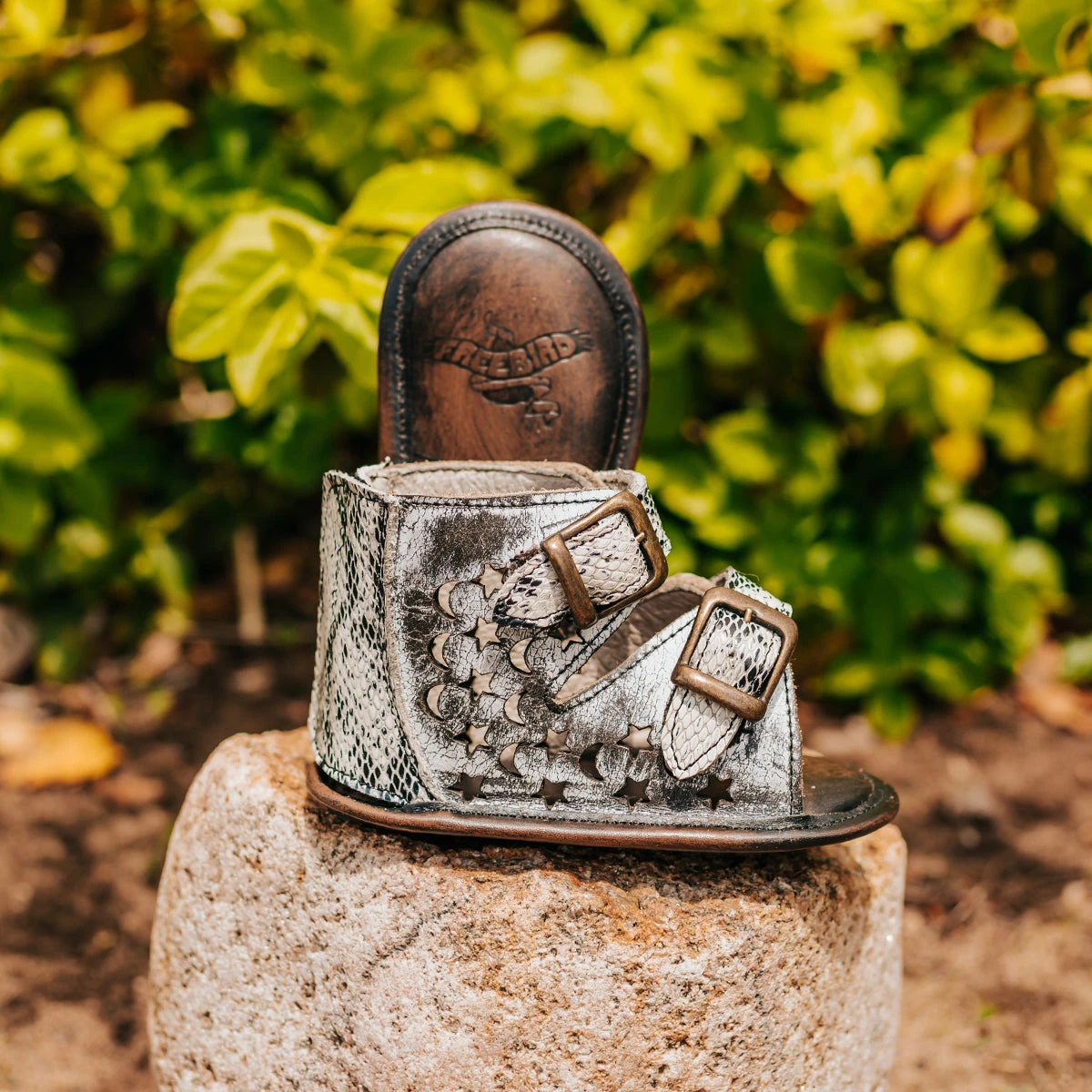 Baby Teresa - Ice - Image 2