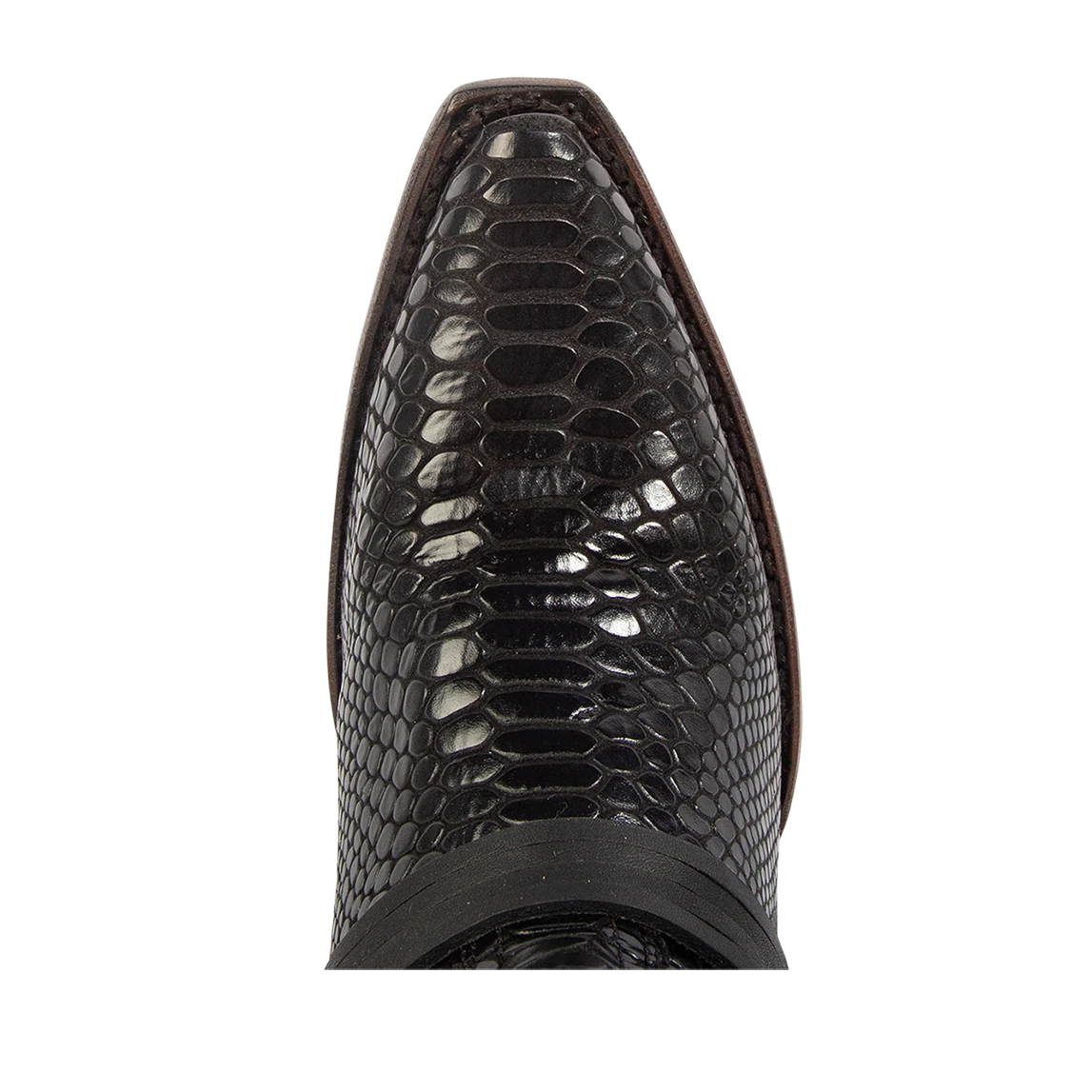 Wardon - Black Snake - Image 7