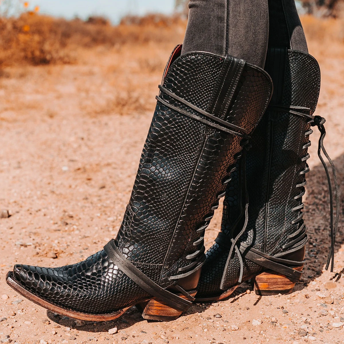 Wardon - Black Snake