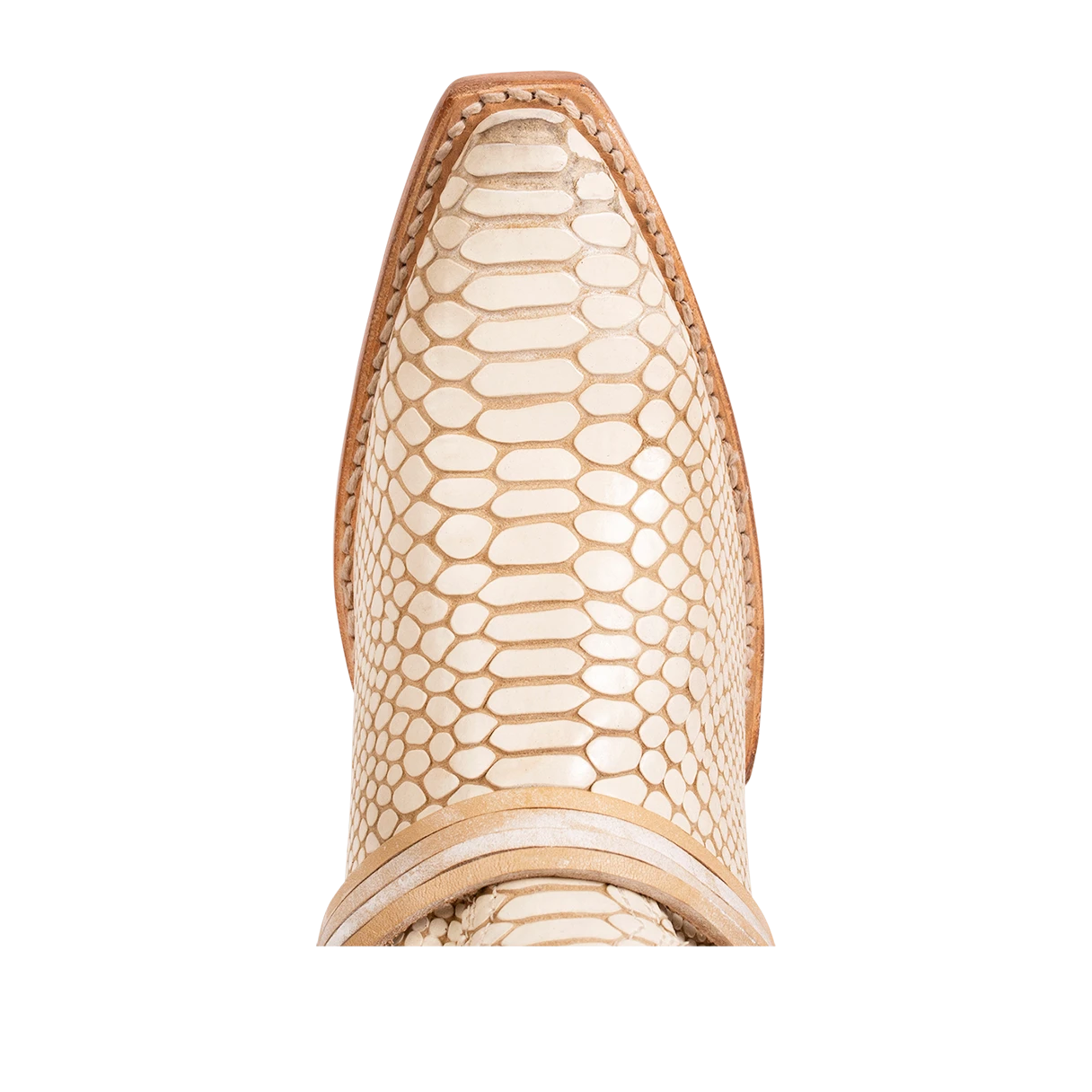 Wardon - White Snake - Image 7