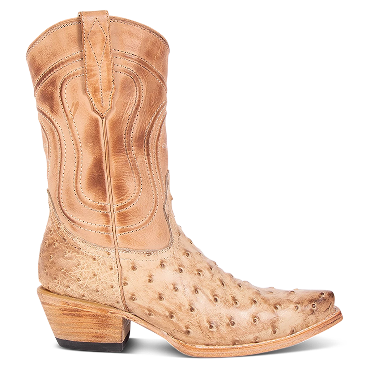 Warrick - Beige Ostrich Multi - Image 3