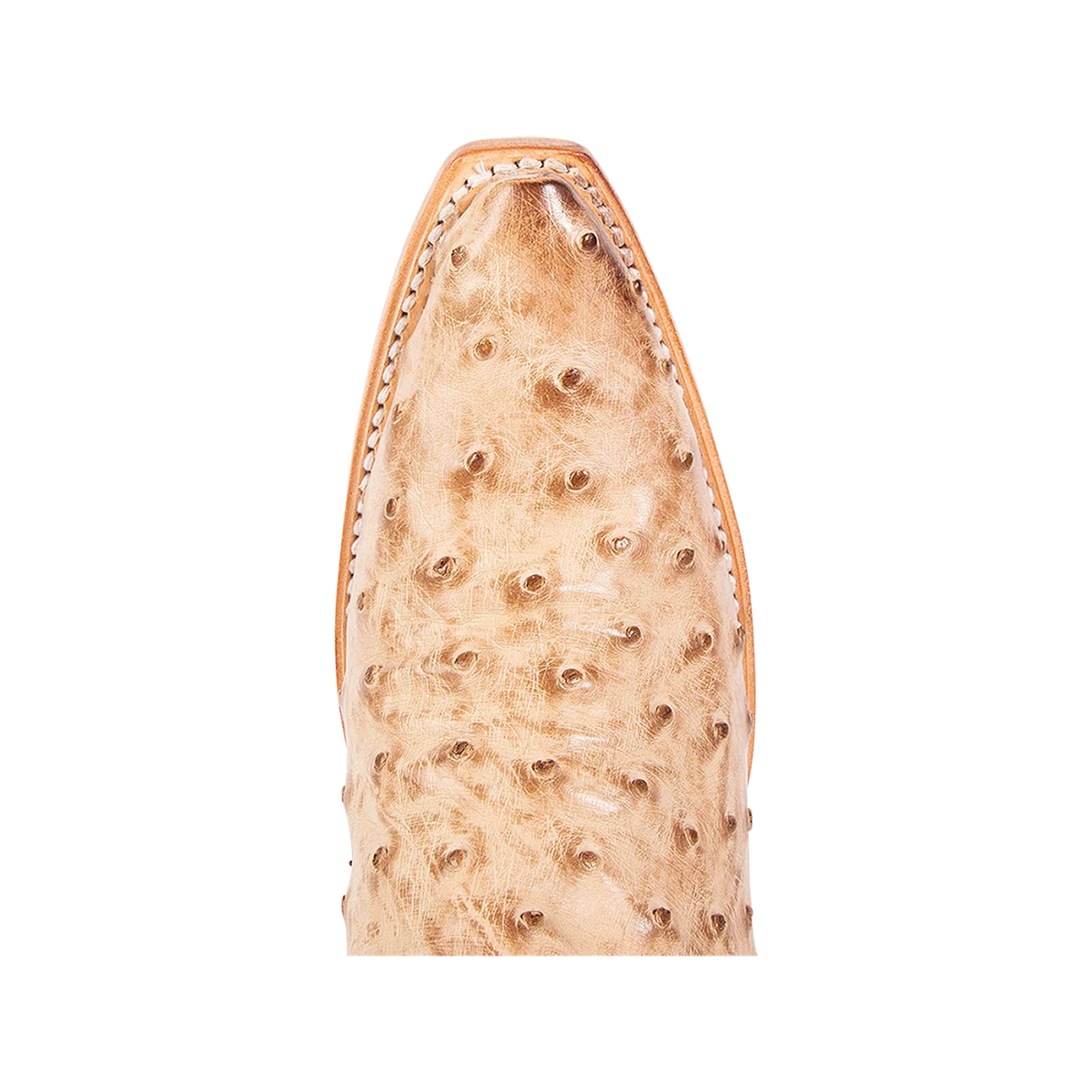 Warrick - Beige Ostrich Multi - Image 7