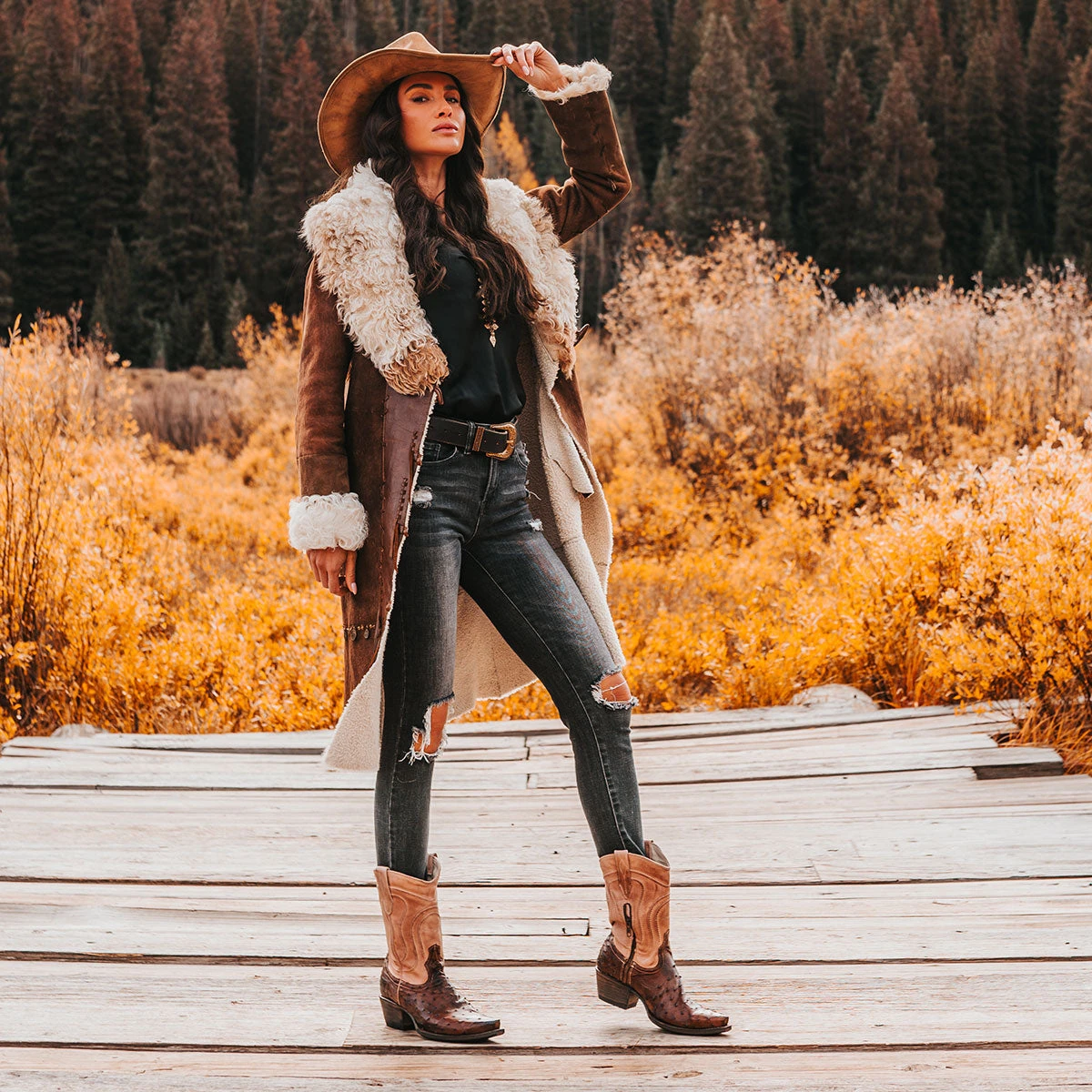 Warrick - Brown Ostrich Multi - Image 2