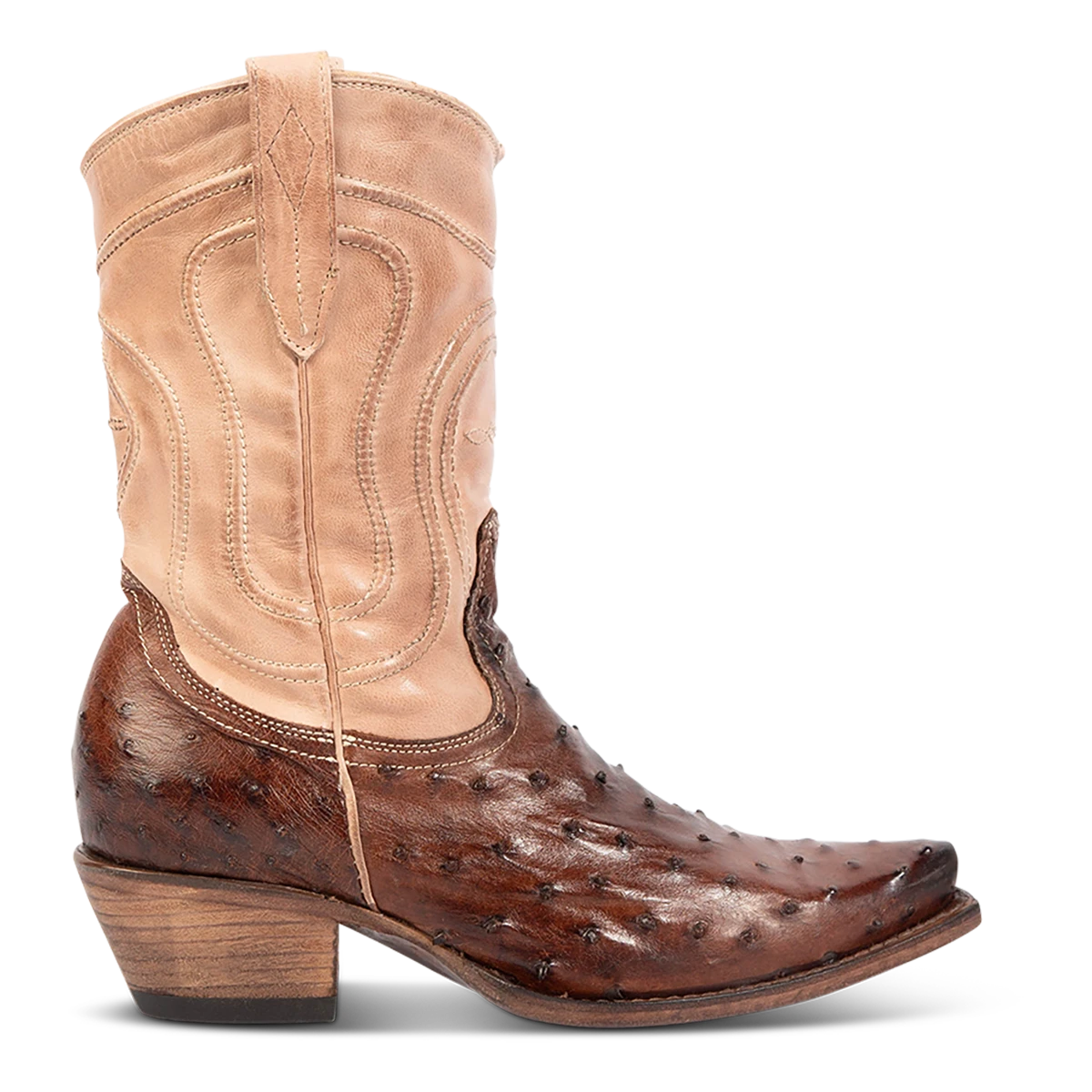 Warrick - Brown Ostrich Multi - Image 3