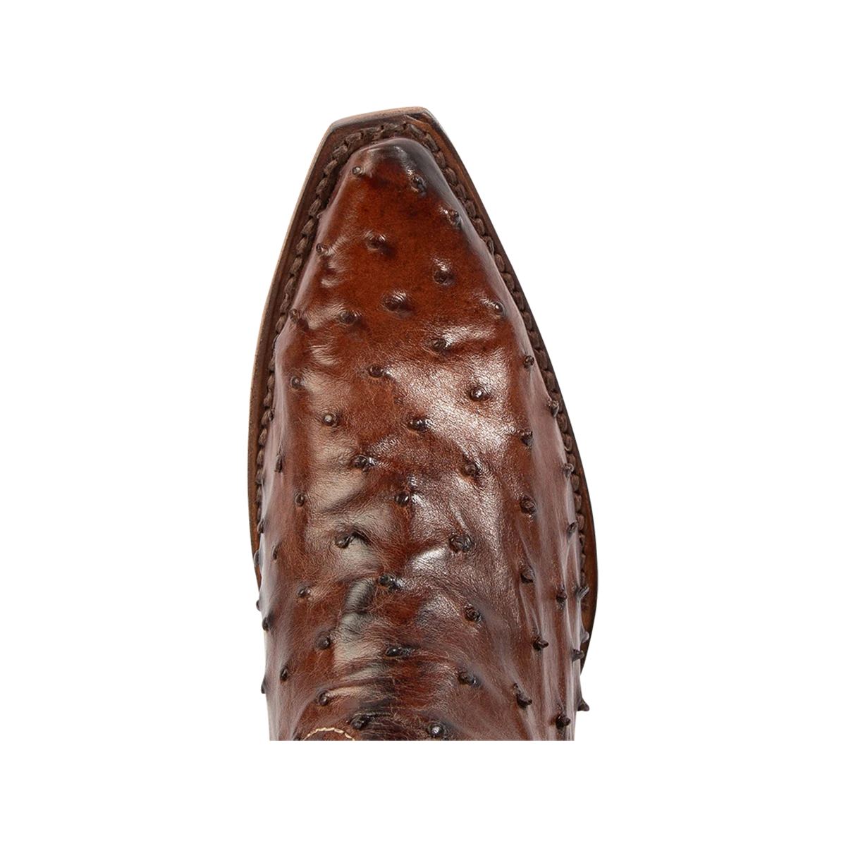 Warrick - Brown Ostrich Multi - Image 8