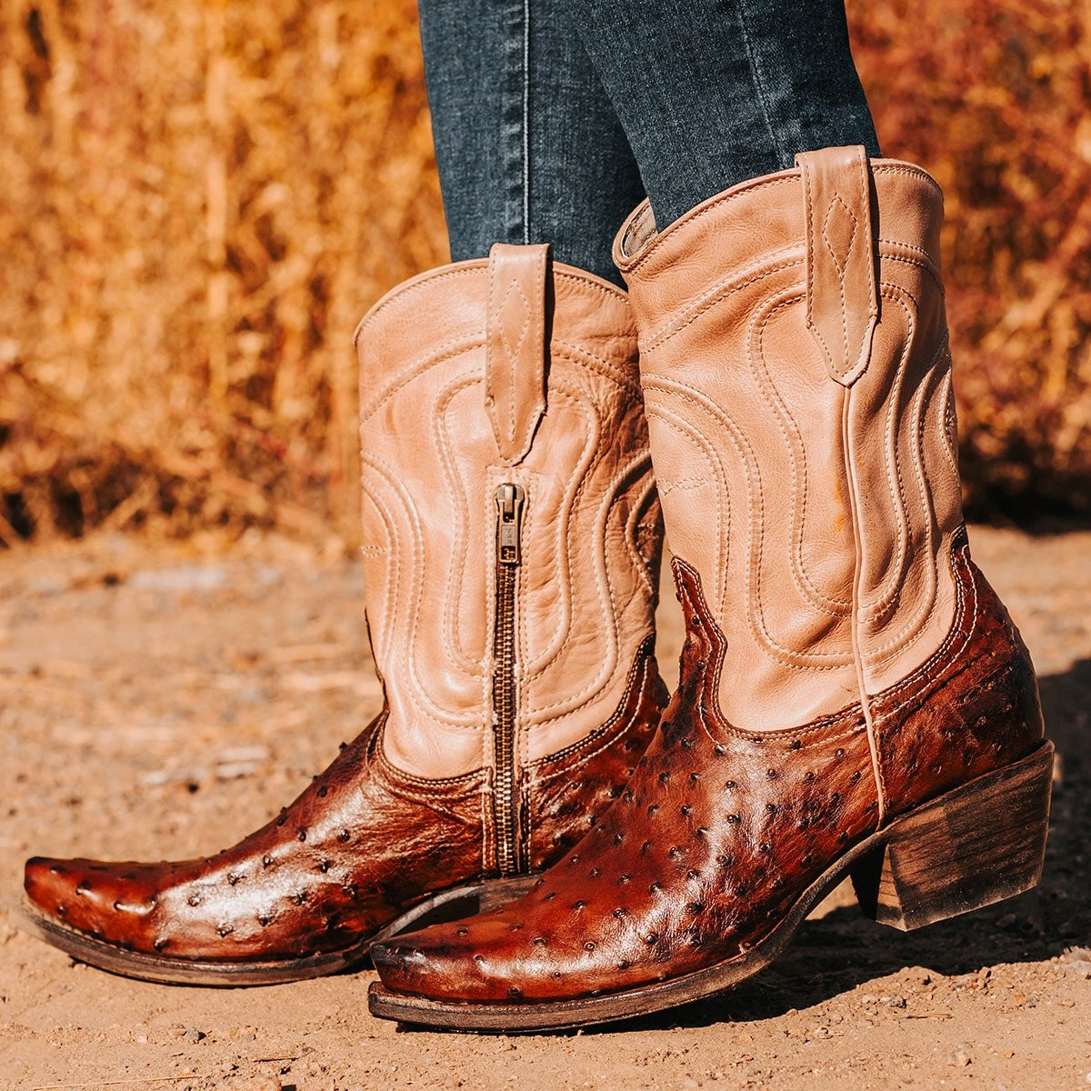 Warrick - Brown Ostrich Multi - Image 7