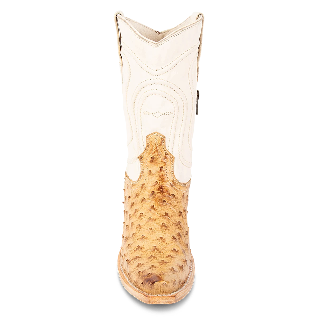 Warrick - Tan Ostrich Multi - Image 4