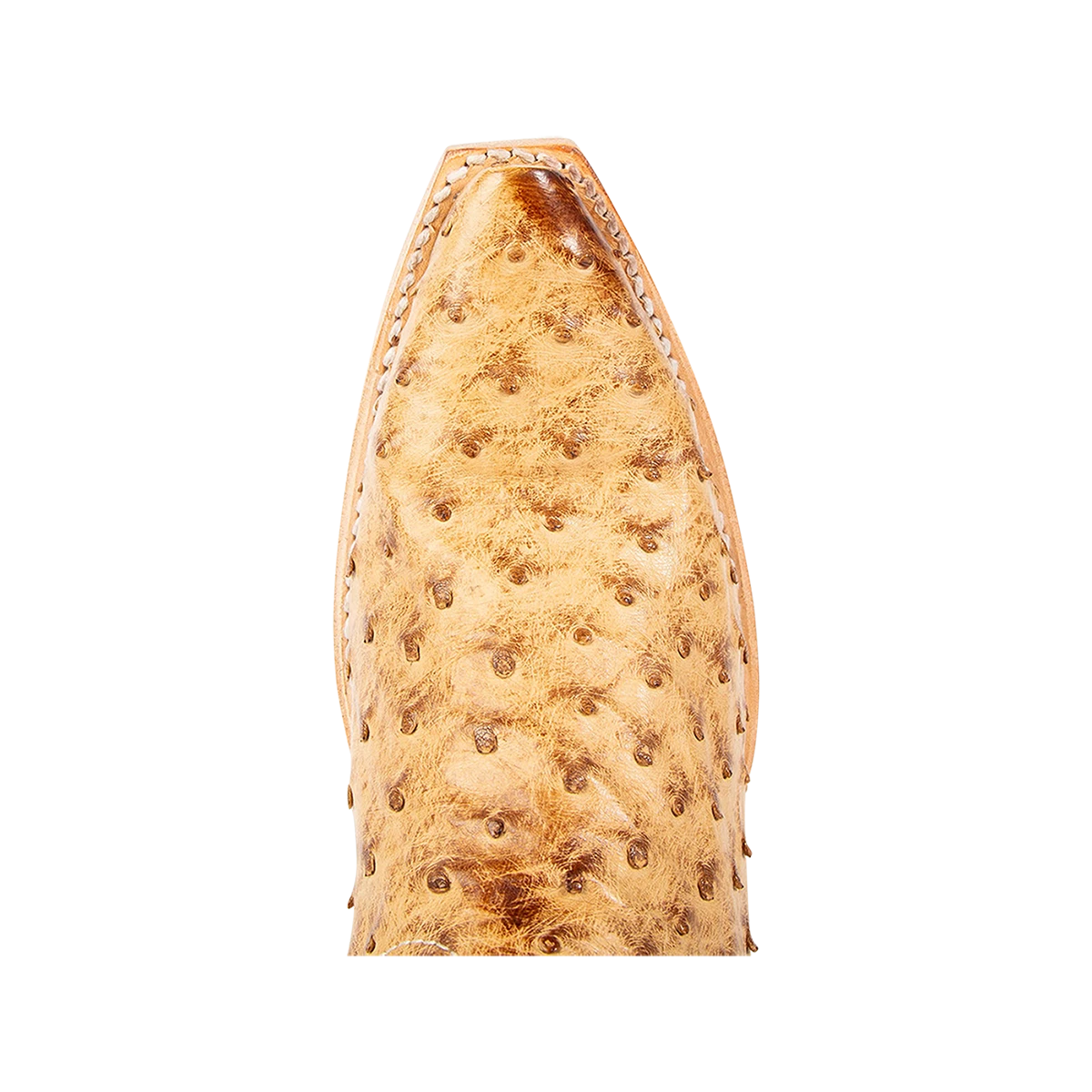 Warrick - Tan Ostrich Multi - Image 8