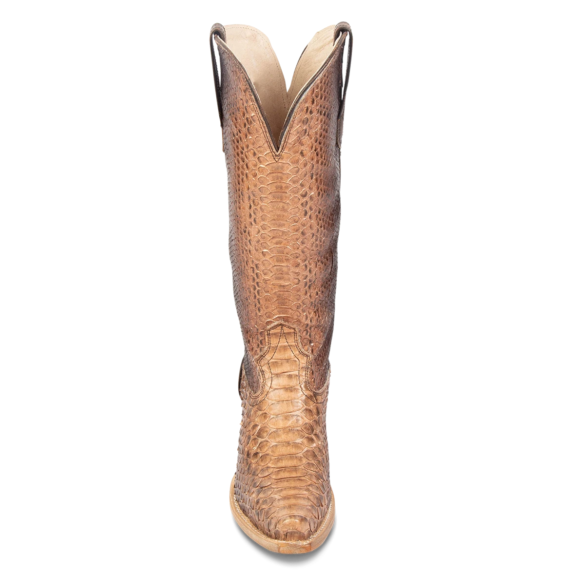 Woodland - Peach Python - Image 4