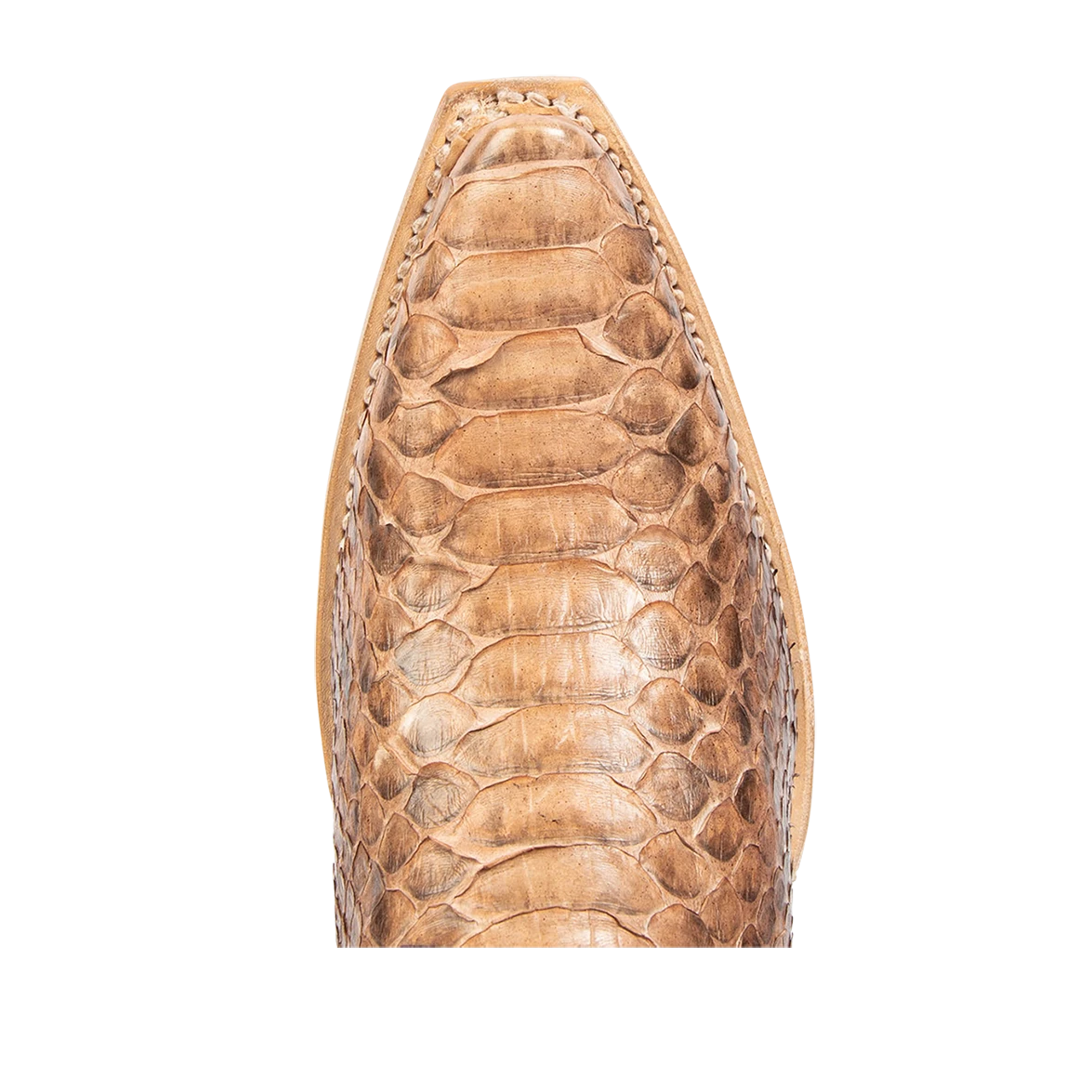 Woodland - Peach Python - Image 7