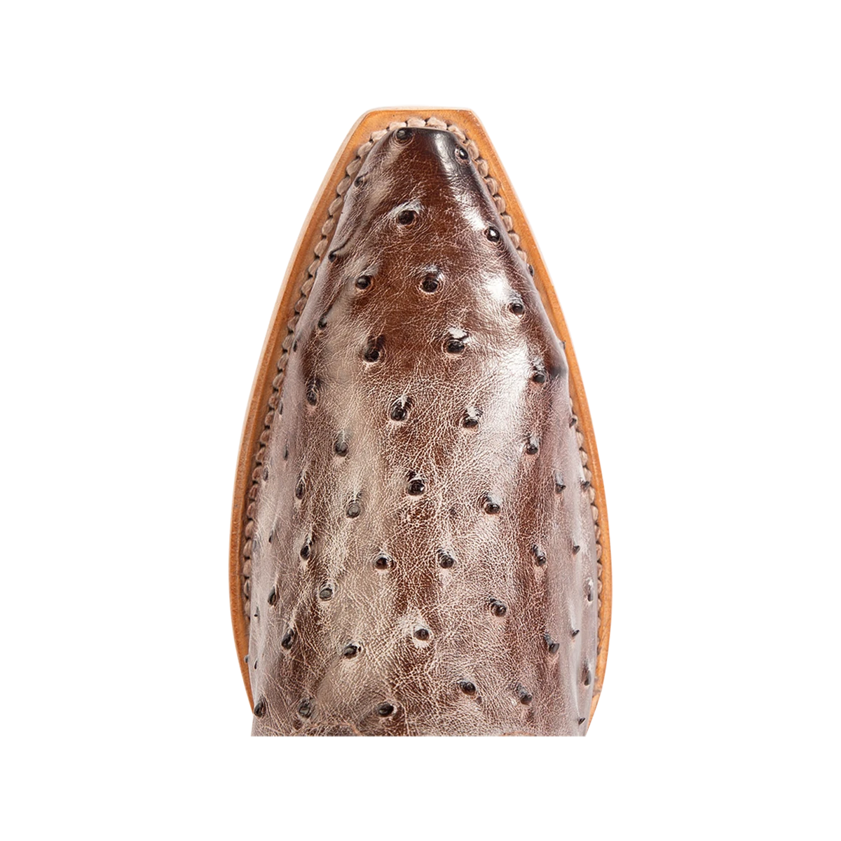 Woodland - Wine Ostrich Multi - Image 7